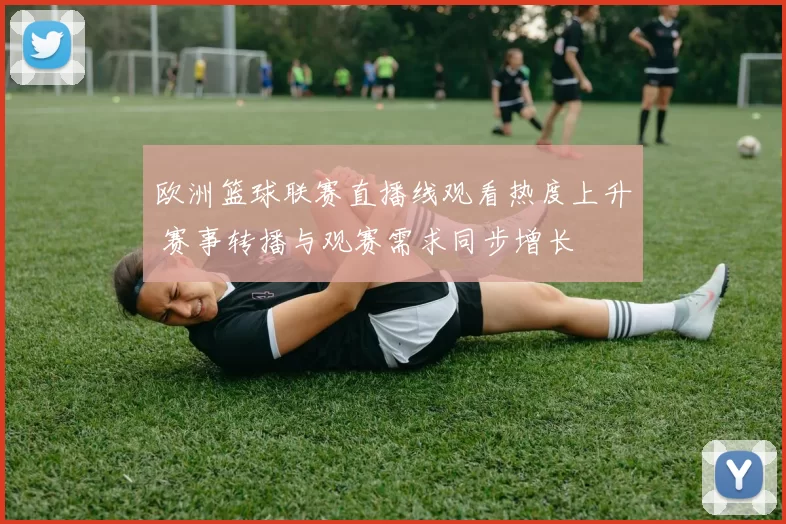 欧洲篮球联赛直播线观看热度上升 赛事转播与观赛需求同步增长