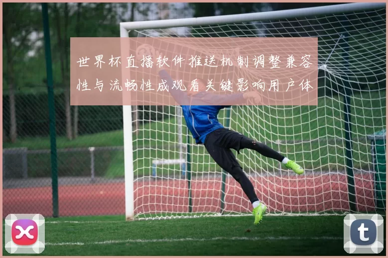 世界杯直播软件推送机制调整兼容性与流畅性成观看关键影响用户体验